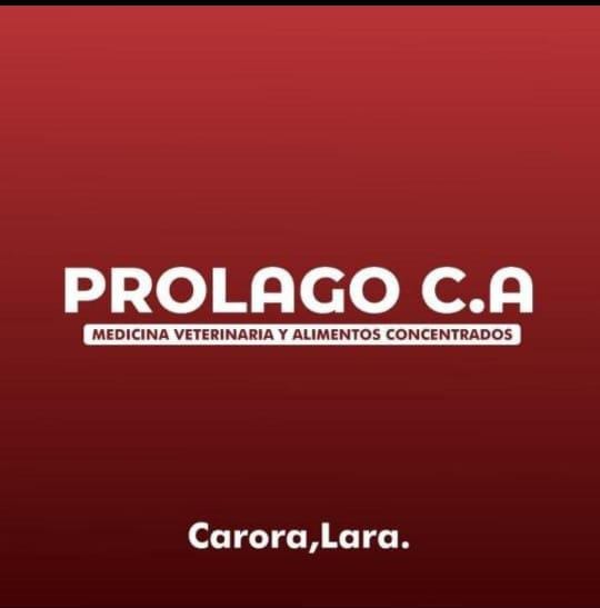 Prolago C.A.